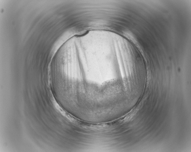 X0000052641386200507221804