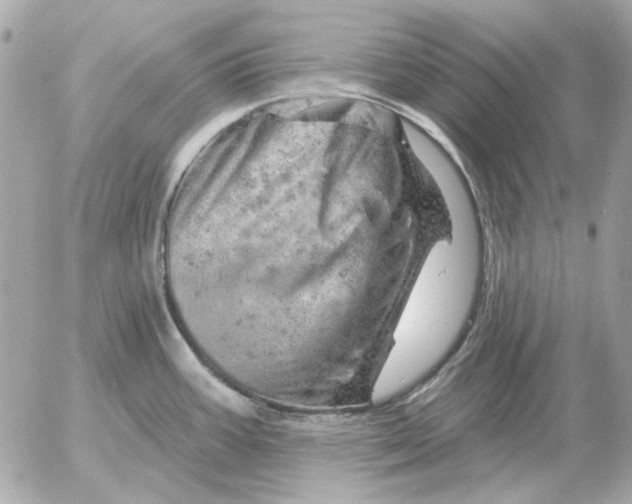 X0000052641387200507221804