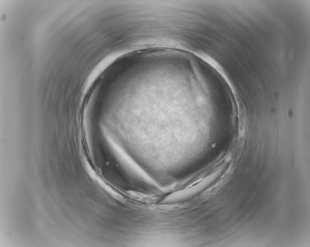 X0000052641389200507221804