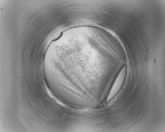 X0000052641390200507221804