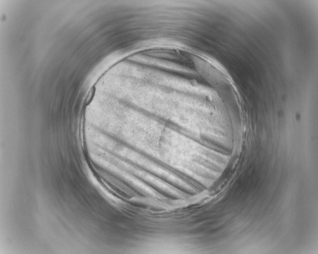 X0000052641391200507221804