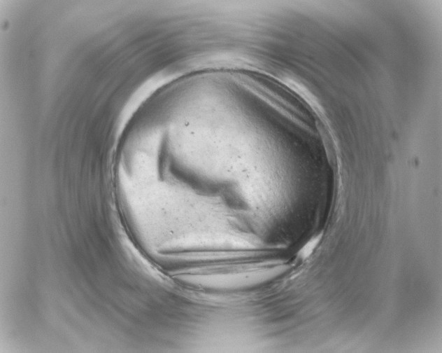 X0000052641392200507221804