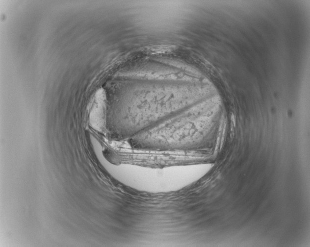 X0000052641393200507221803