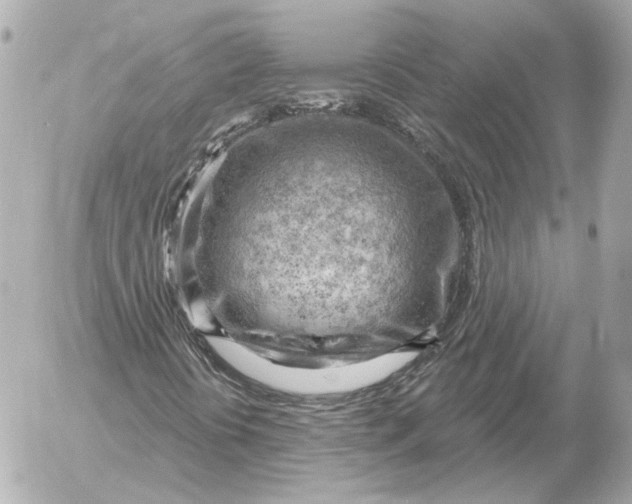 X0000052641394200507221803