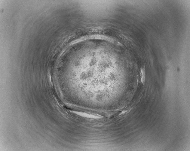 X0000052641395200507221803