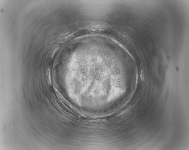 X0000052641396200507221803