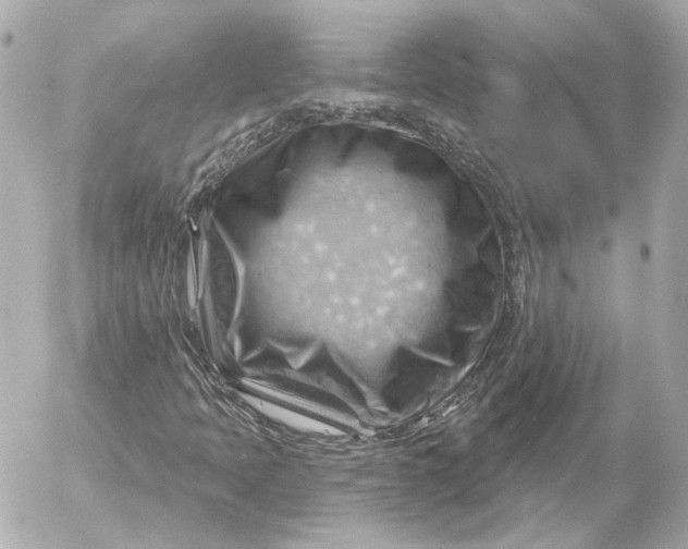 X0000052641397200507221803