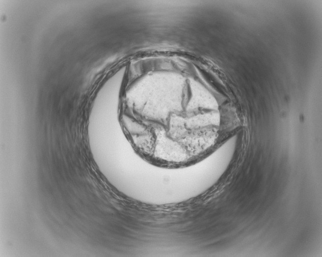 X0000052641398200507221803