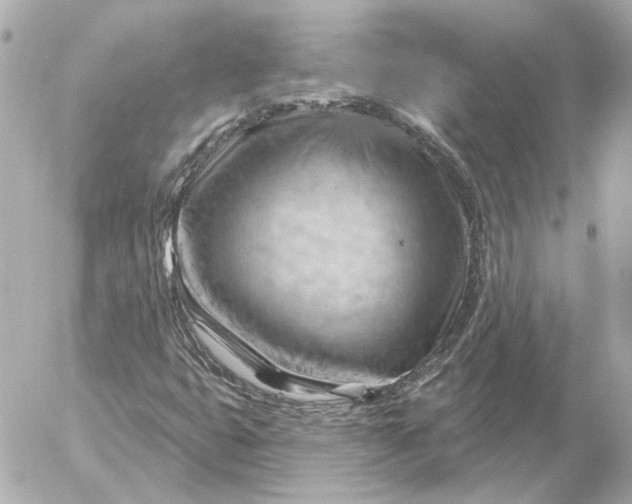 X0000052641399200507221803