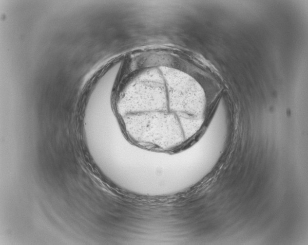 X0000052641400200507221803