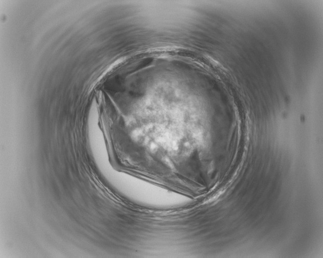 X0000052641401200507221803