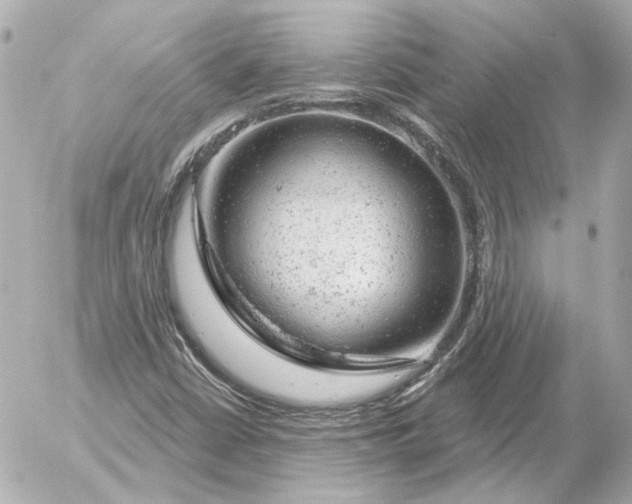 X0000052641402200507221803