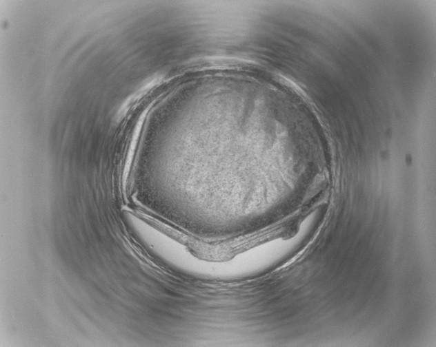 X0000052641403200507221803