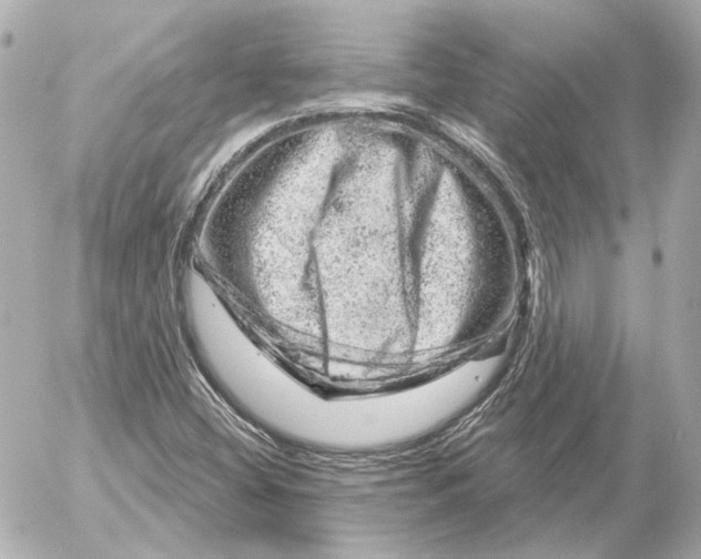 X0000052641404200507221803