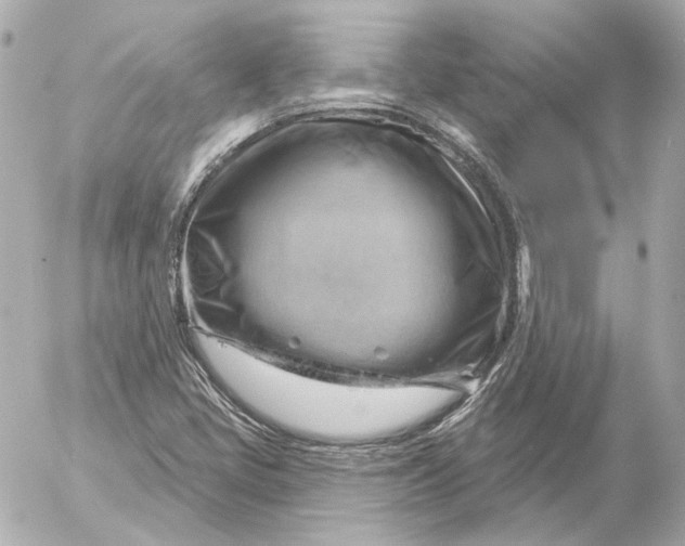 X0000052641405200507221803