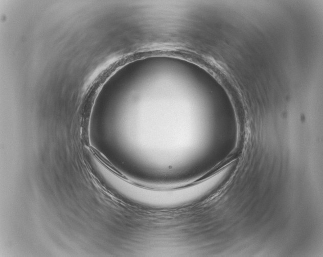 X0000052641406200507221803