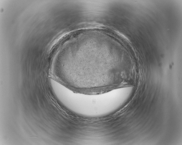 X0000052641407200507221803