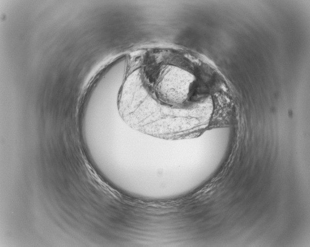 X0000052641408200507221803