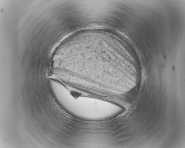 X0000052641409200507221803