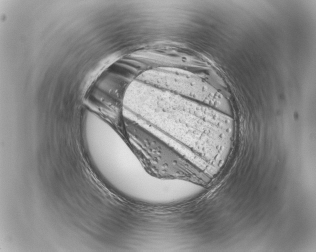 X0000052641410200507221803