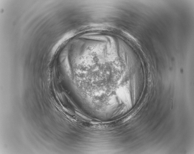 X0000052641411200507221803