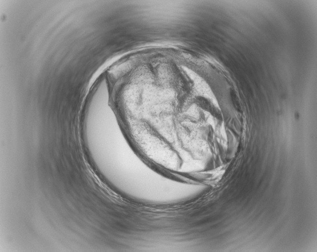 X0000052641412200507221804