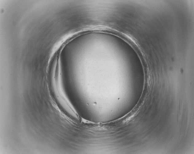 X0000052641414200507221804