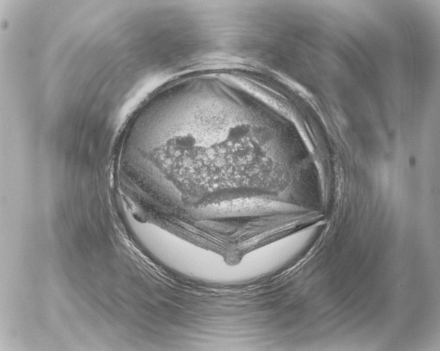 X0000052641415200507221804