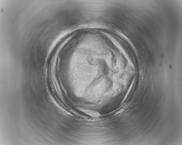 X0000052641416200507221804