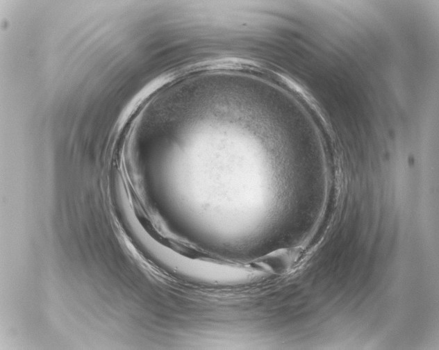 X0000052641418200507221804