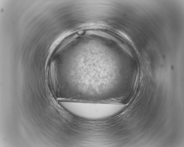 X0000052641419200507221804