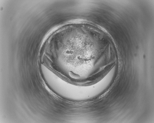 X0000052641421200507221804