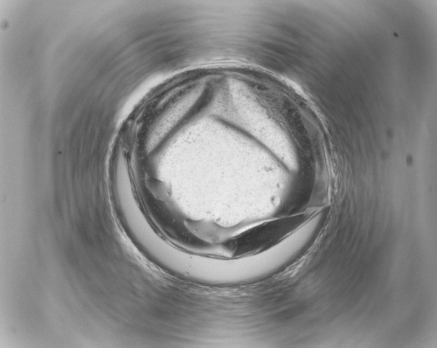 X0000052641422200507221804