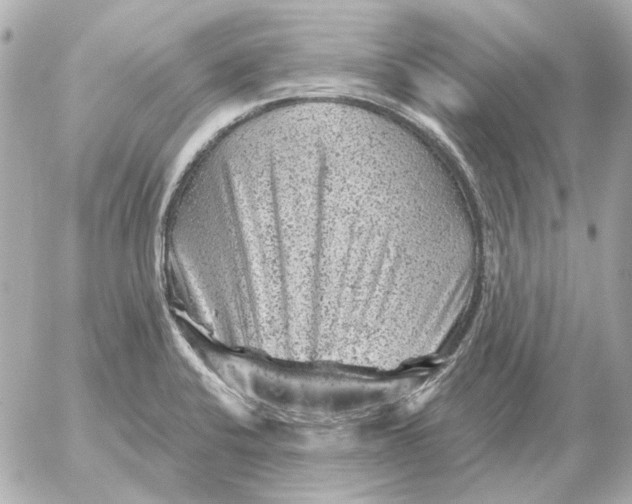 X0000052641424200507221804