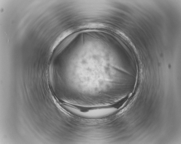 X0000052641425200507221804