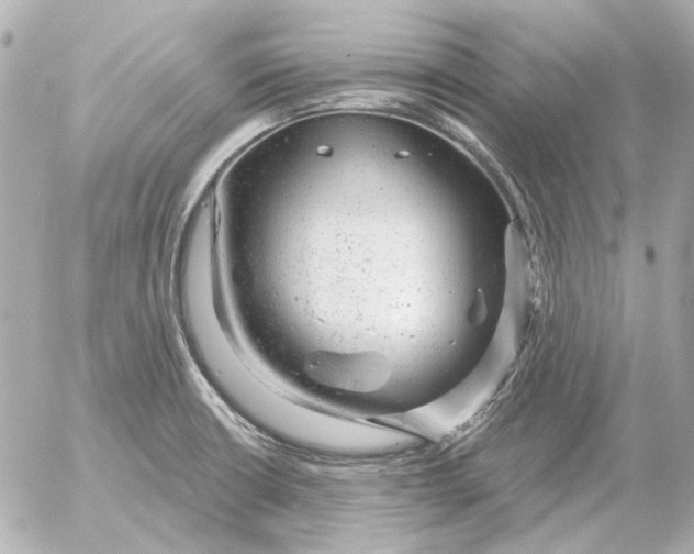 X0000052641426200507221804