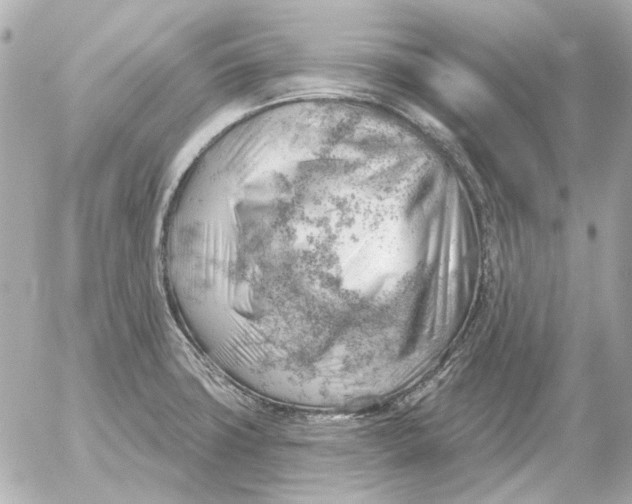 X0000052641427200507221804