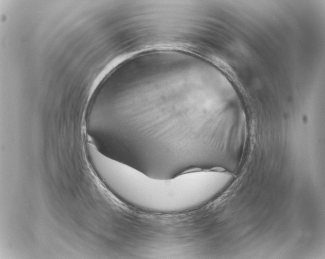 X0000052641428200507221804