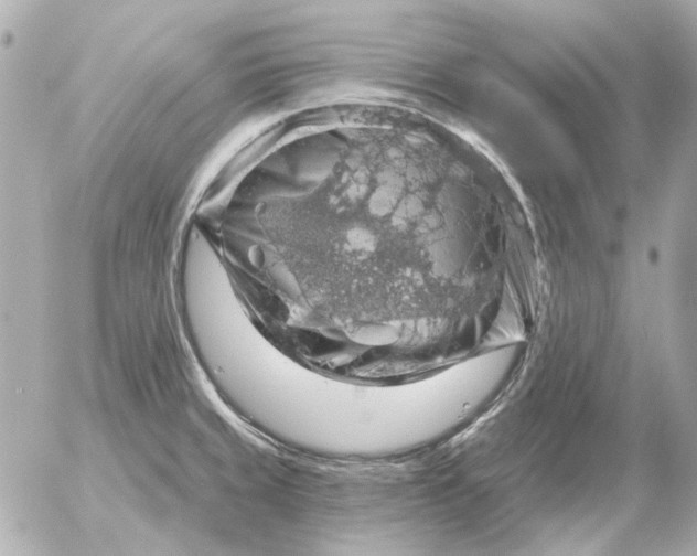 X0000052641429200507221804