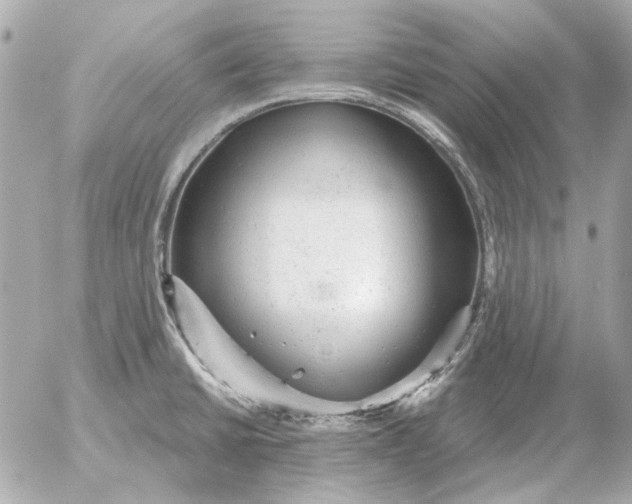 X0000052641430200507221804