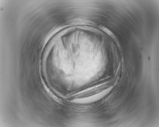 X0000052641431200507221804