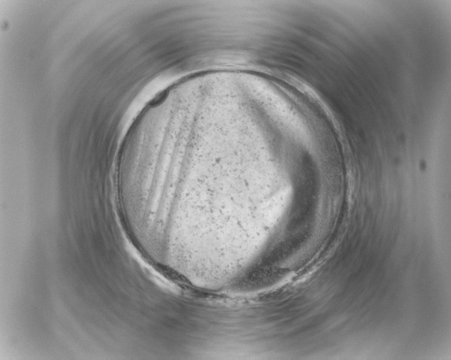 X0000052641432200507221804