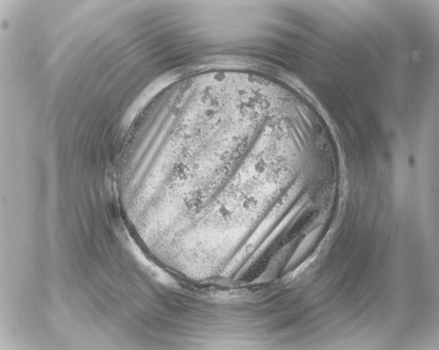 X0000052641433200507221804