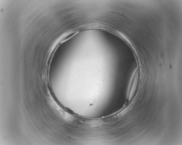 X0000052641434200507221804