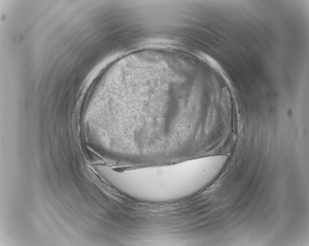 X0000052641435200507221804