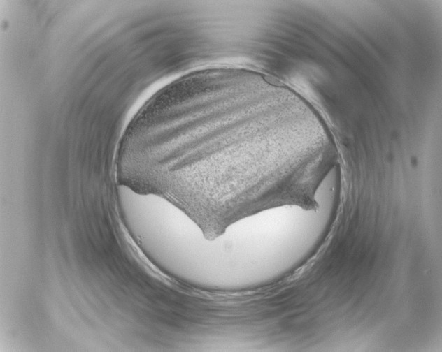 X0000052641436200507221804