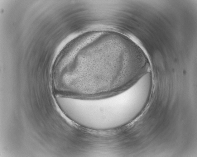 X0000052641437200507221804