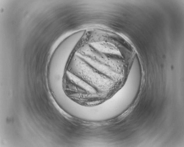 X0000052641438200507221804