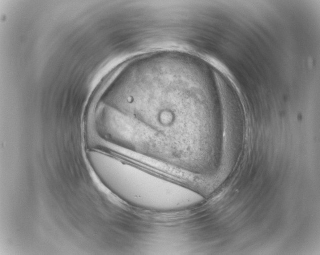 X0000052641439200507221804