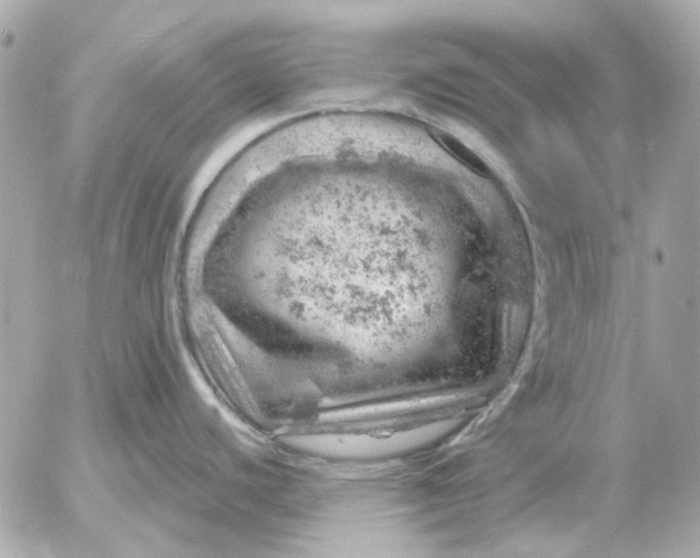 X0000052641440200507221804